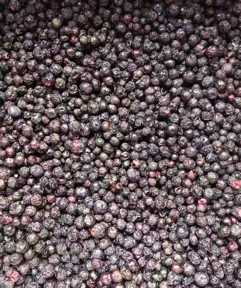 freeze dried blueberry for cereal and snack ingredients