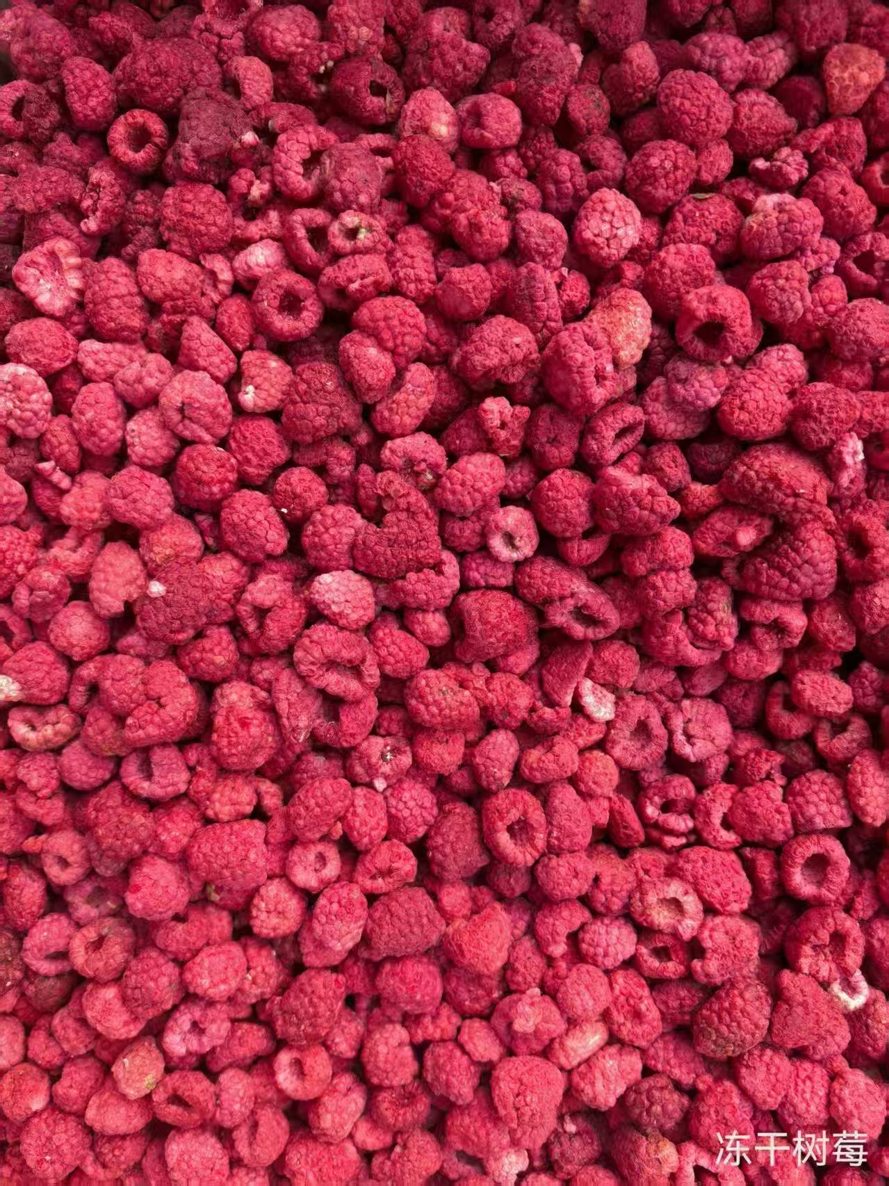 Freeze dried raspberry for berry snack ingredient and supplier review