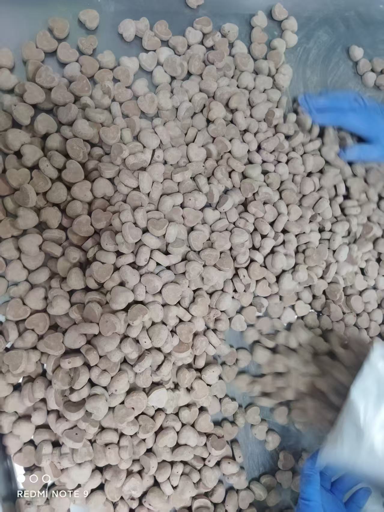 freeze dried ice cream manufacturer OEM