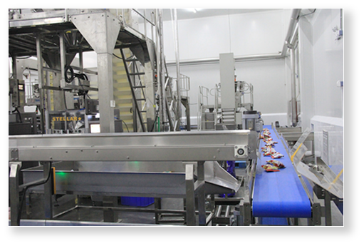 freeze dried snack packing process freeze dried snack packing process