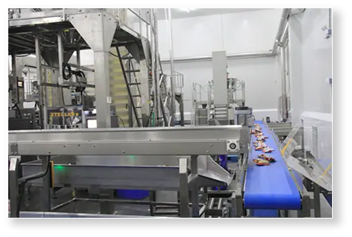 Freeze-dried snack packing and sealing line before export shipment