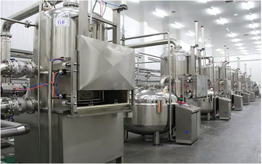 vacuum fried vegetable chips production line