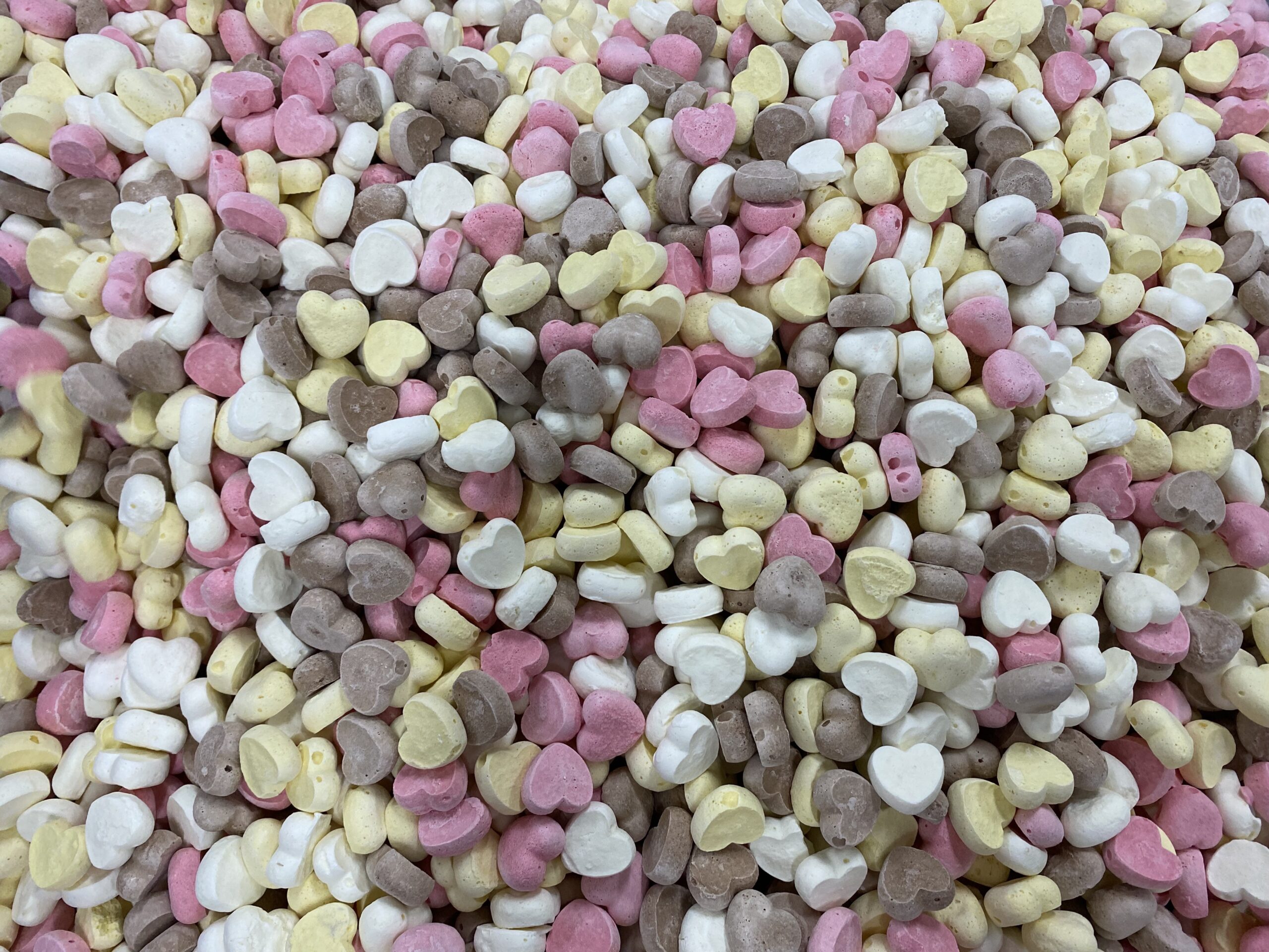 Bulk freeze-dried ice cream mixed flavors prepared for sample and packaging review