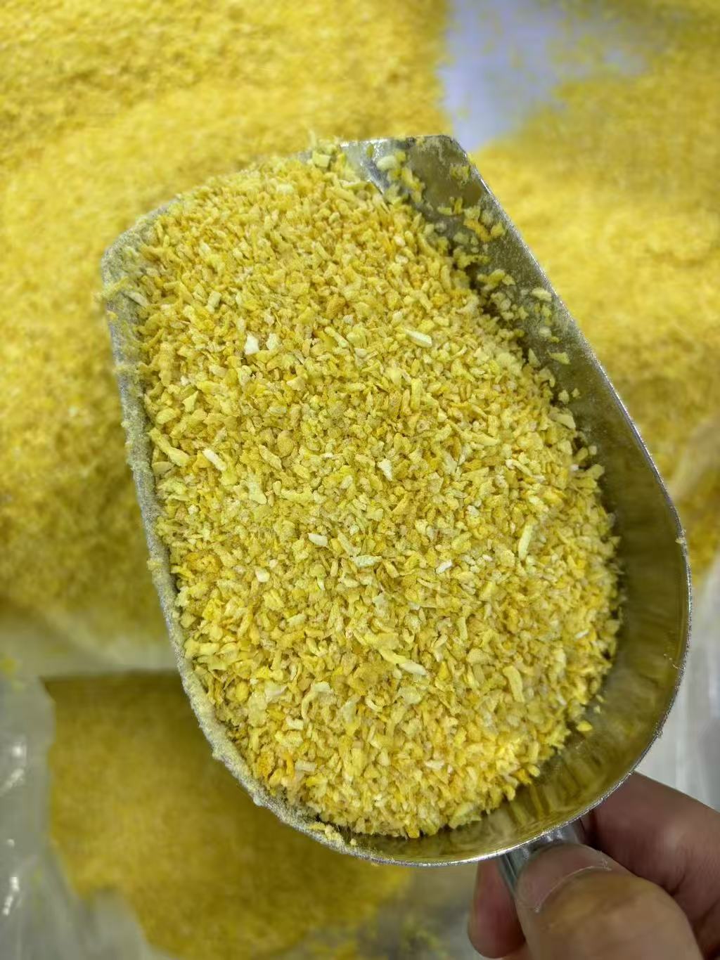 Freeze-dried mango bits for snack mixes and food ingredients