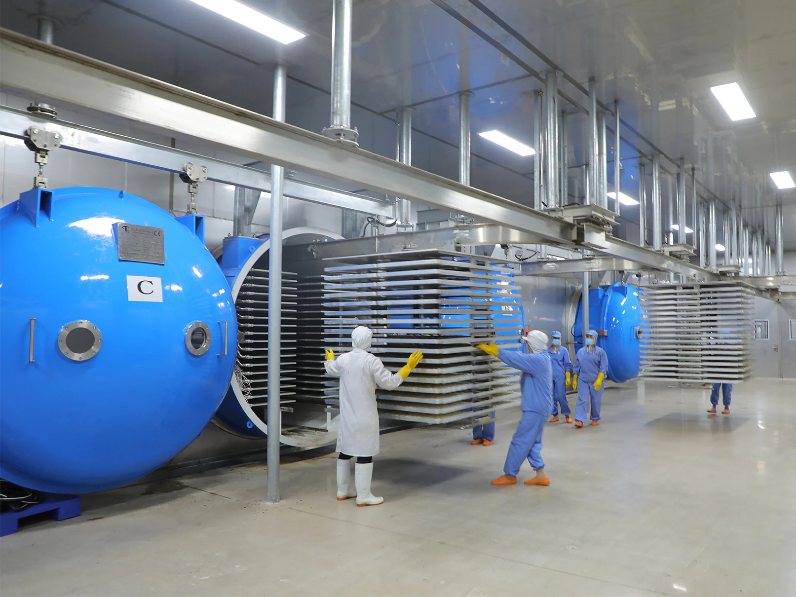 Freeze-drying workshop equipment for B2B snack production review