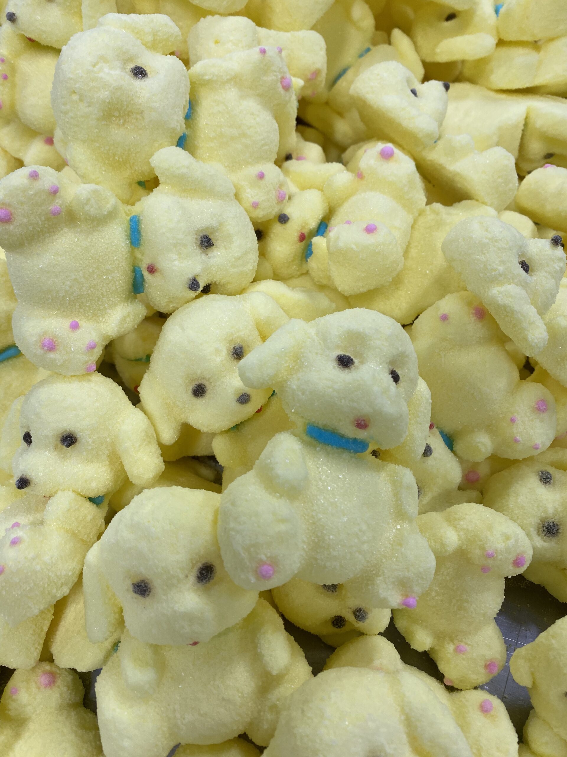 Freeze-dried shaped candy for private-label novelty snack programs